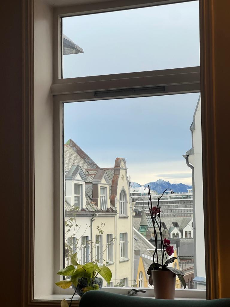 6004 Ålesund Øwregata 14