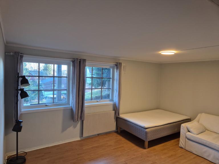 Stue/sov med seng og sove sofa