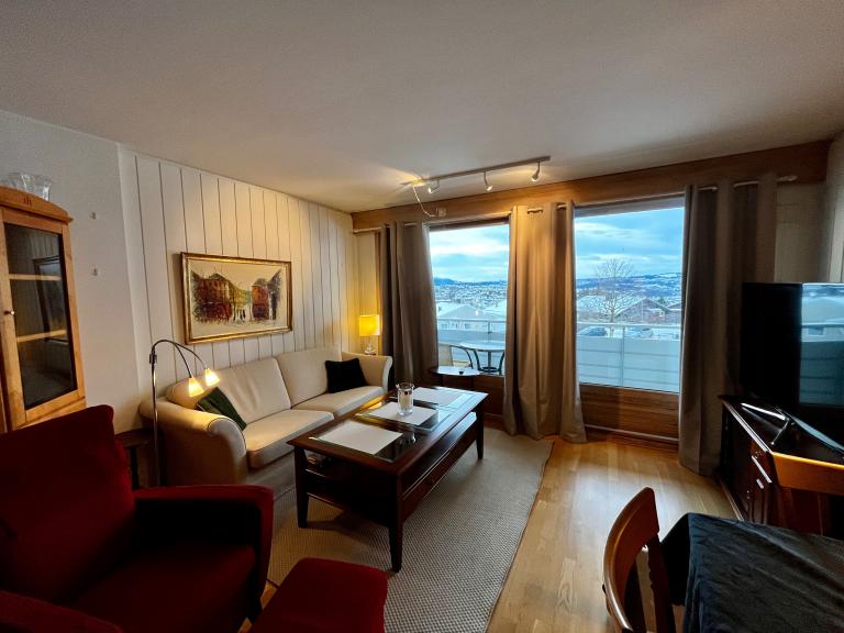 7050 Trondheim Østre Moholt-tun 12