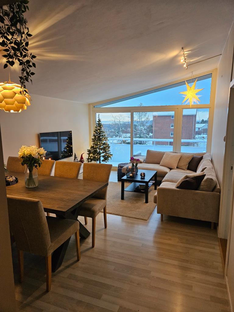 0380 Oslo Geologsvingen 67 A