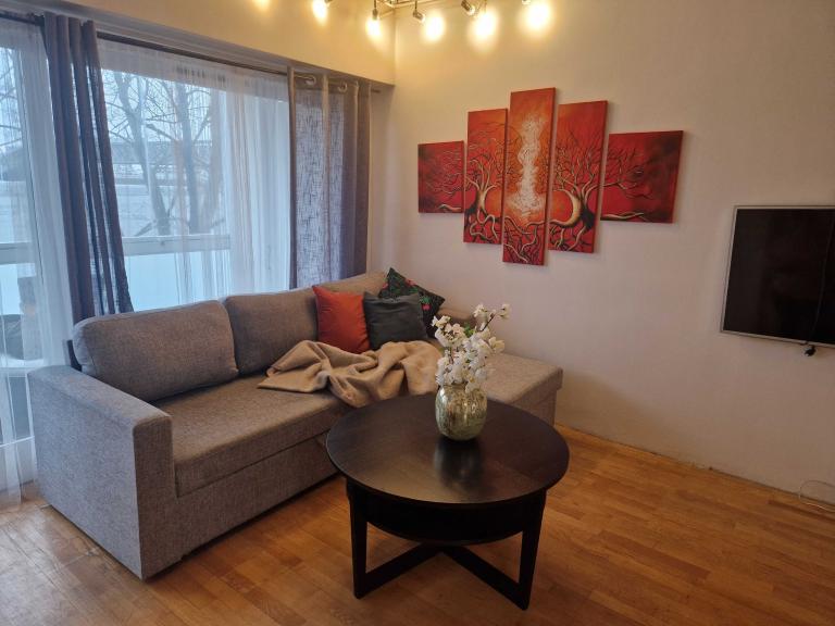 Stuen er møblert med bord og sovesofa og tv på veggen. Tven står på svingbar arm