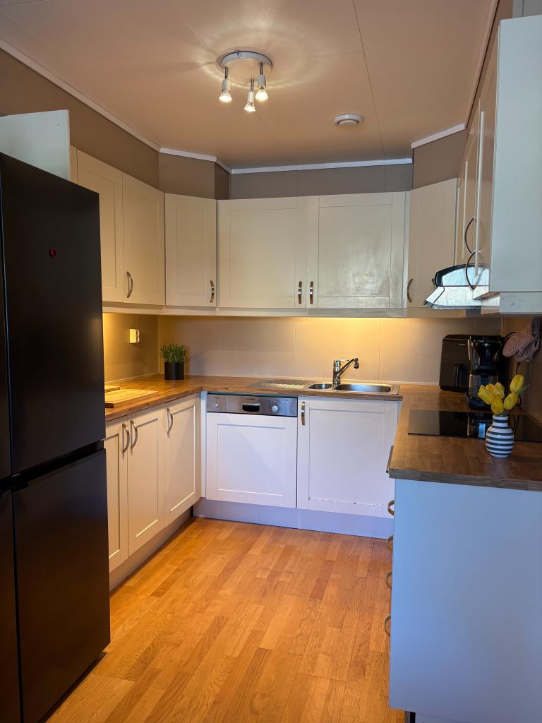 Stort kombikjøleskap med isbitmaskin.