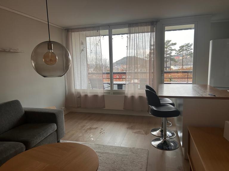 4633 KRISTIANSAND S Olav Trygvasons vei 6D