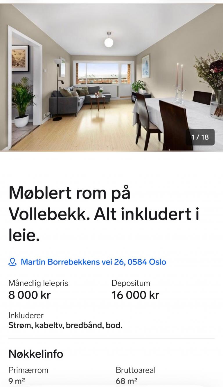 0584 Oslo Martin Børrebekkensvei 26