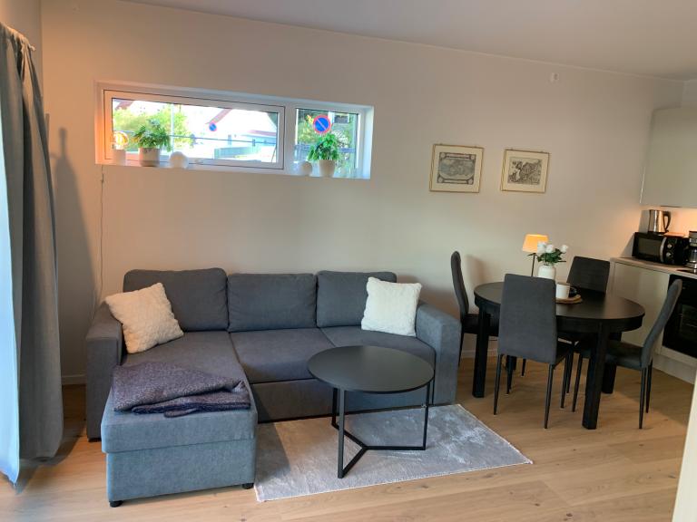 Sovesofa som kan omgjøres til dobbeltseng (ekstra overmadrass tilgjengelig).