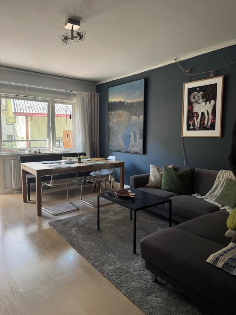 Stue sett fra sofasonen
