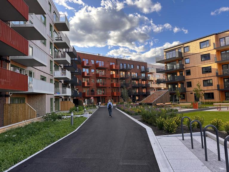 Bakgården mot Triaden