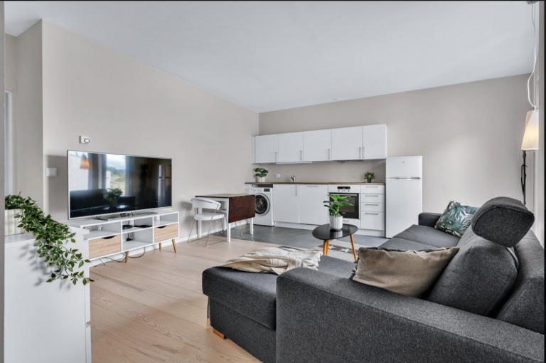 Stuen og kjøkkenet tatt fra inngangen til sovealkoven