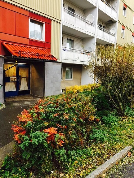 1281 OSLO Lofsrudhøgda 219