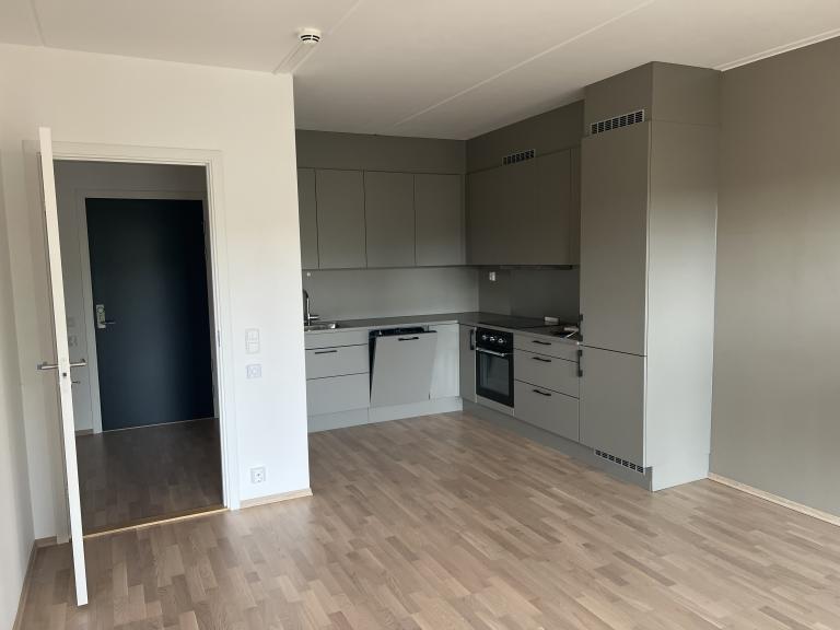 Kjøkken med integrerte hvitevarer.