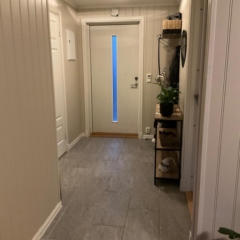 Flislagt inngang, varmekabler.