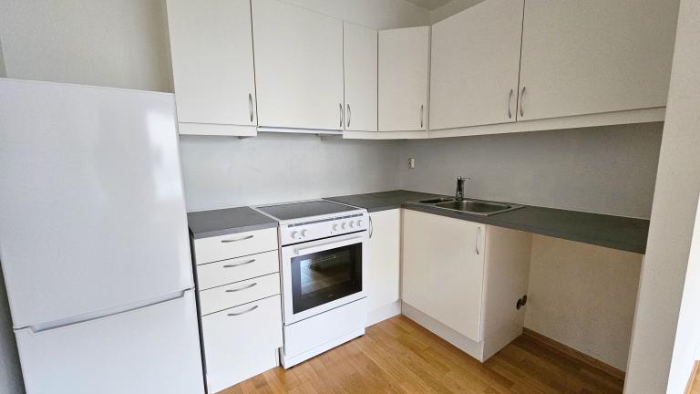 Kjøkken med komfyr, oppvaskmaskin (ny) og kombiskap