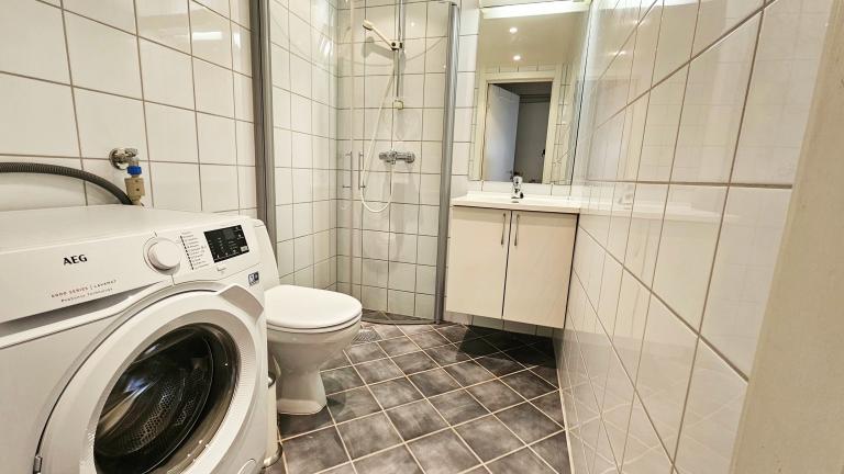 Bad og toalett med vaskemaskin