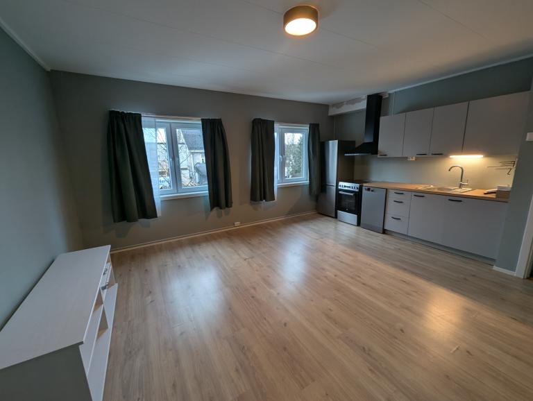 1820 SPYDEBERG Stasjonsgata 15