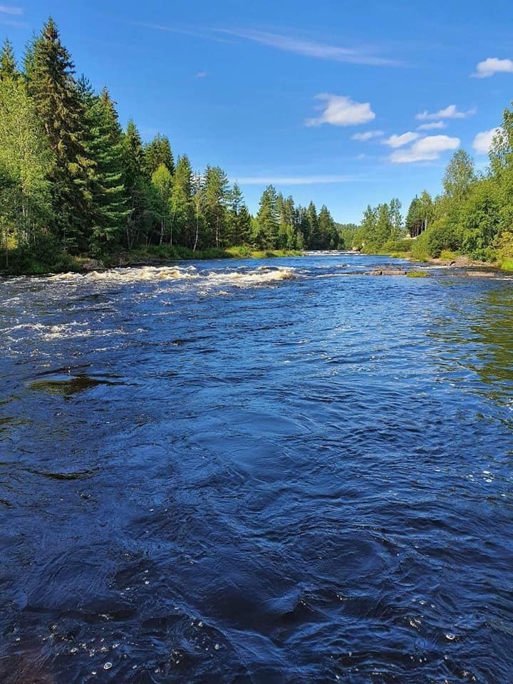 3350 PRESTFOSS Sigdalsveien 2270